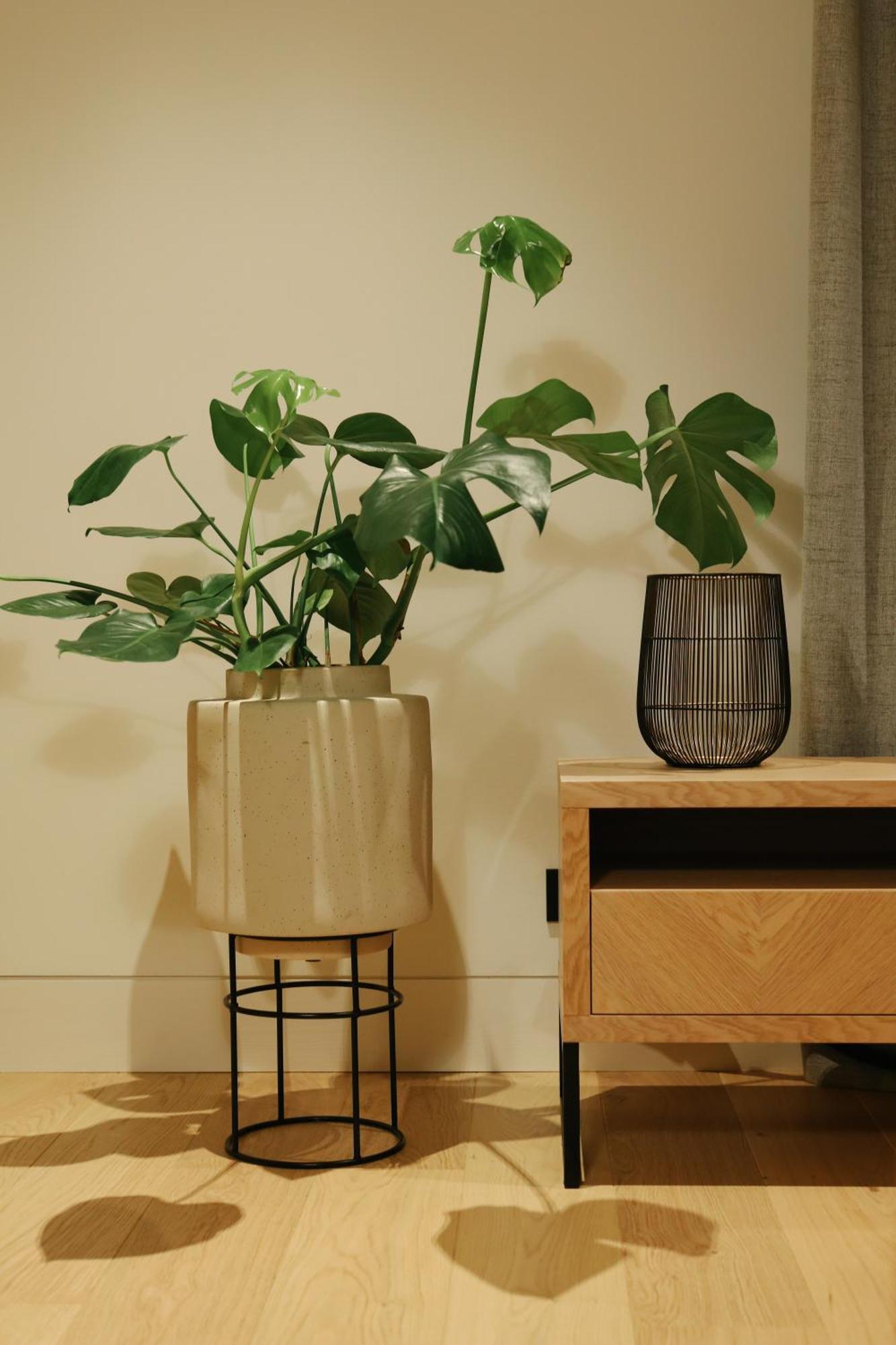 MrStil Design Apartments Berlin Extérieur photo